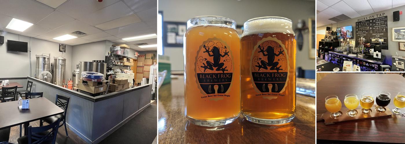 Black Frog Brewery