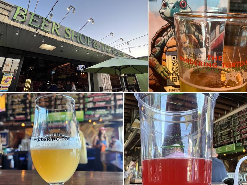 The Wandering Tortoise