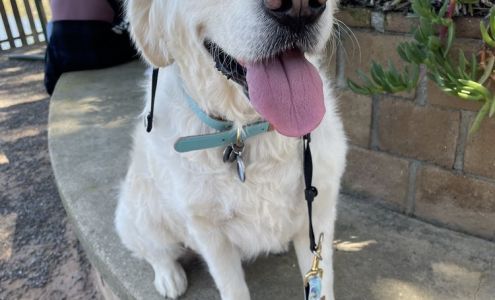 Oak Canyon Park Silverado