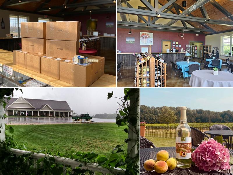 12 Corners Vineyards