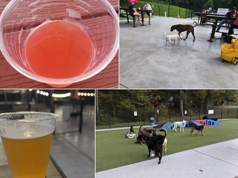 Lucky Dog Bark - Steele Creek