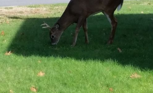 Veterans of Foreign Wars Tobyhanna