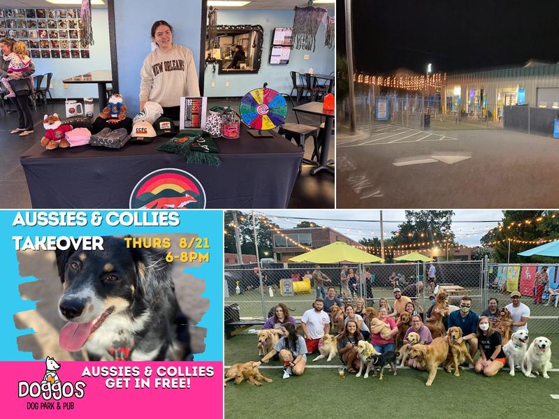 Doggos Dog Park & Pub