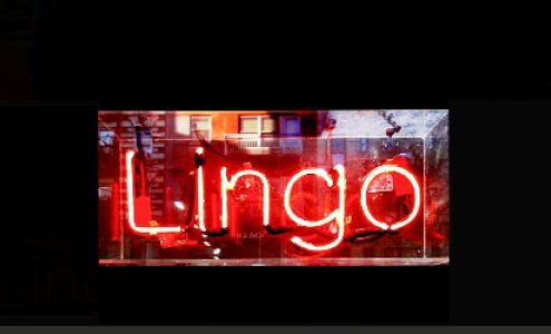 Lingo