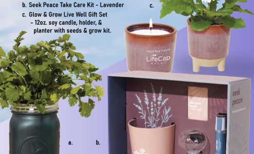 N Zone Sportswear Manhattan