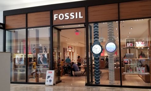 Fossil Store