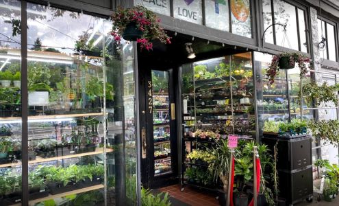 PLHC - Moved to 507 N 36th St (Just a block away)