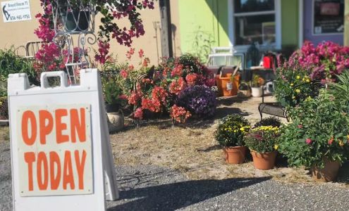 The Dragonfly Emporium