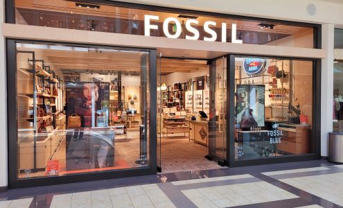 Fossil Store