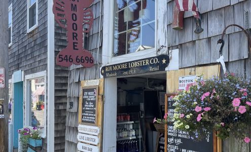 Shore Thing Rockport