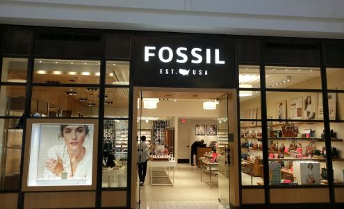 Fossil Store