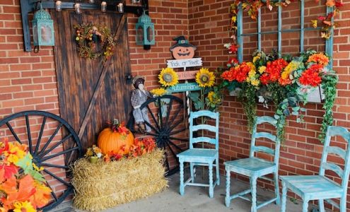 Wizard of Odds North Jackson