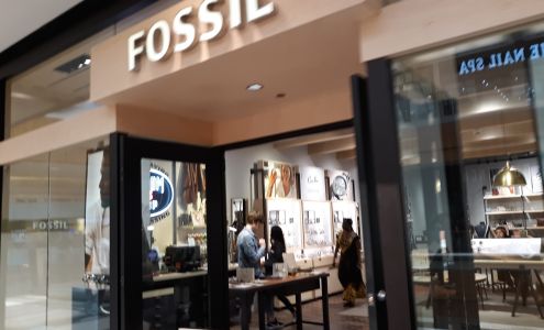 Fossil Store