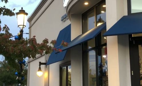 AGAPANTHUS - Gainesville