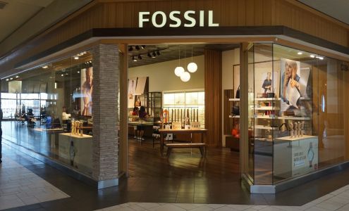 Fossil Store