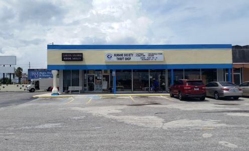 Molly Mutt III Thrift Shop