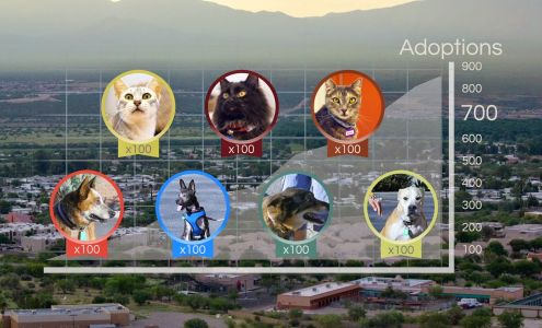 Animal League of Green Valley