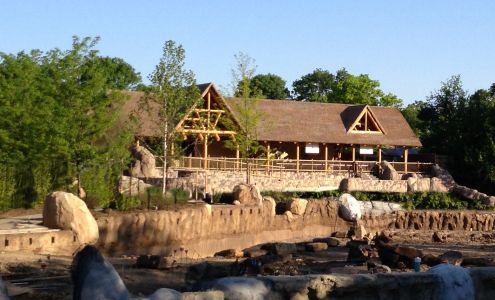 Safari Thatch & Bamboo