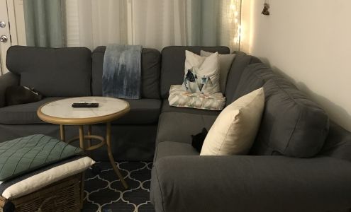 Houston Junior Forum Resale Shop