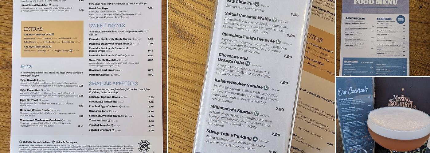 The Missing Squirrel Menu