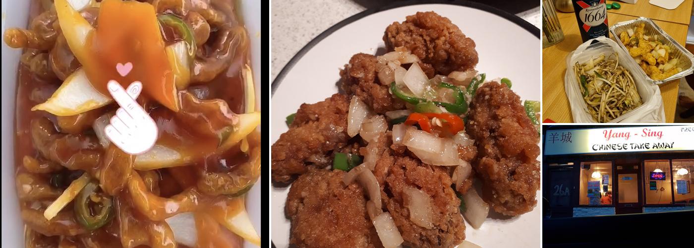 Yang Sing Chinese Takeaway