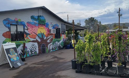 Plant Stand of Arizona