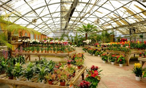 Island View Nursery