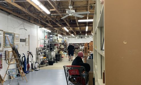 Litter Box Thrift Store Hilton Head Island