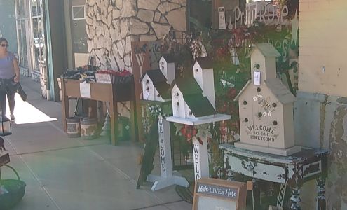 Prim Rose Primitives