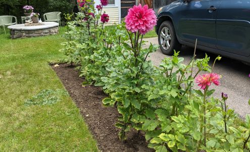 Antiques at Moultonboro