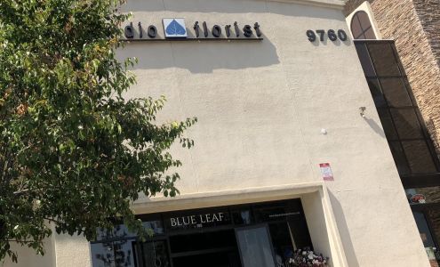 Blue Leaf Studio Florist