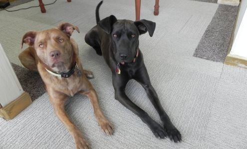 Steven Parks Master Goldsmith