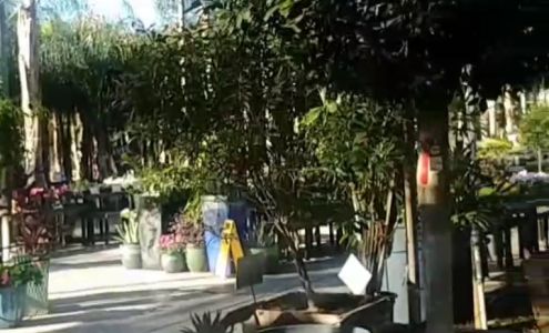 Moon Valley Nurseries