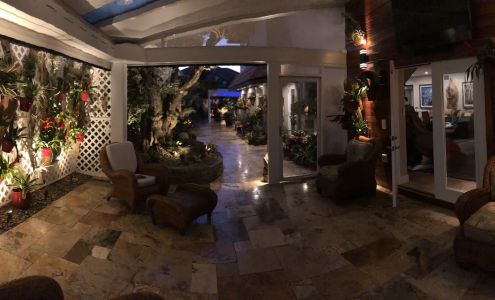 Sunshine Bromeliads Southwest Ranches