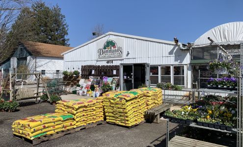 Dammann's Garden Center & Greenhouse, Inc.