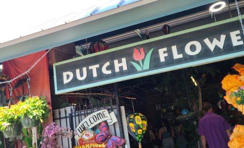 Dutch flowers