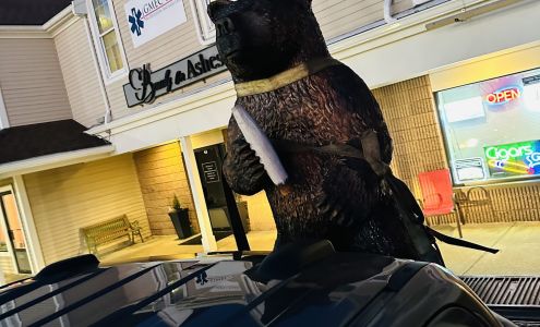 Cedars Smoke & Vape Shop