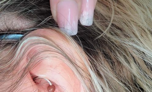 Fraidy Cats' Professional Body Piercing