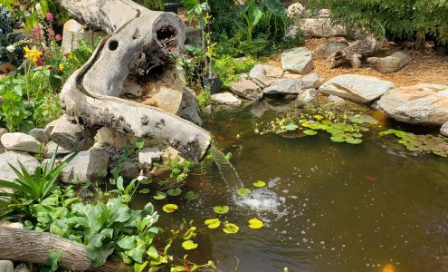 Green Life by Shamus O Leary Tropicals