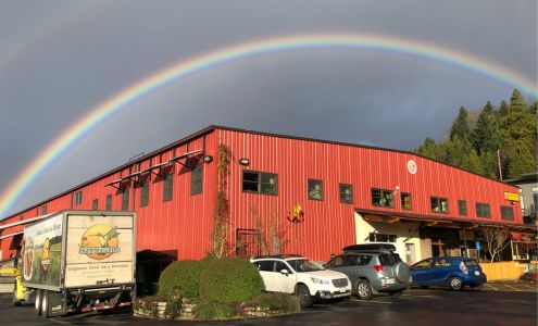 Hummingbird Wholesale