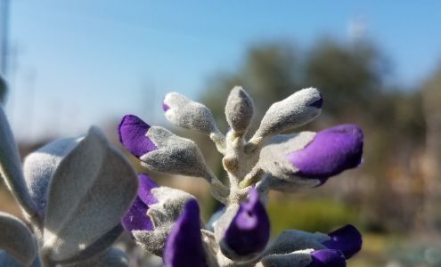 Hillside Nursery Inc