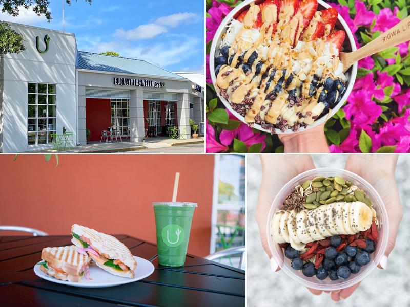 Eucalyptus Wellness and Elixir Bar