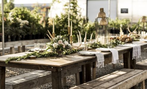 Freckle Farm Hyde Park