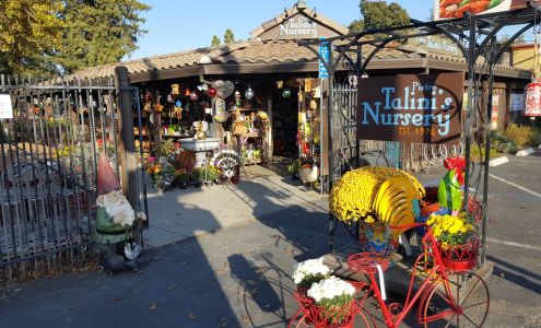 Talini's Nursery and Garden Center