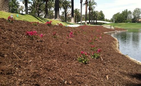 Aguinaga Green Inc. - Orange location