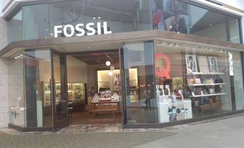 Fossil Store
