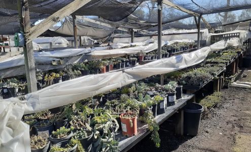 Port Stockton Nursery