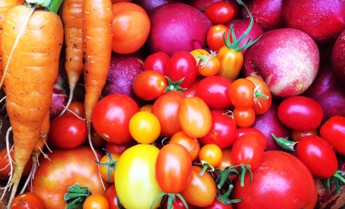 Harvest to Home - We Design, Install, & Maintain Organic Edible Gardens & Green Walls. Call to Schedule a Consultation.