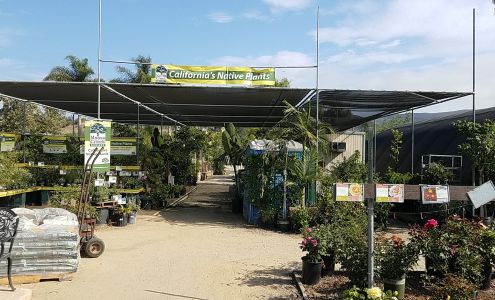 Green Thumb Nursery - San Marcos