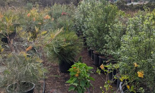 Briggs Tree Company, Inc.